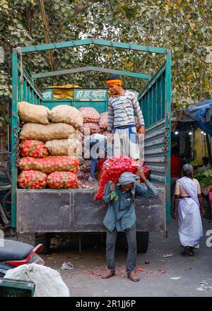 Man unloading sack of onions from a truck at the Paharganj vegetable market , Delhi,India Stock Photo