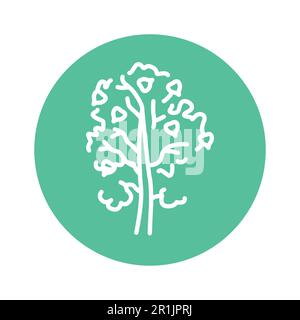 Aspen tree color line icon. Pictogram for web page, mobile app, promo. Stock Vector