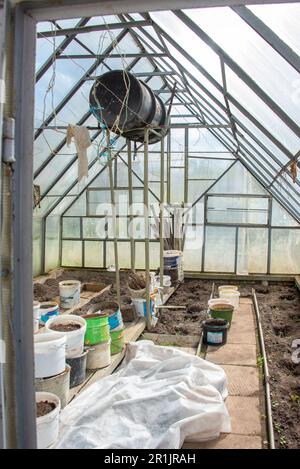 Greenhouse interior with water tank under the roof in early spring. Garden, rural, cottage. Stock Photo