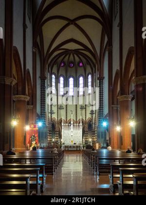 Saint Francis Basilica main nave, Bologna Stock Photo