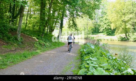 A view of the cyclists as they race along the lakeside at Saint Fraimbault, Normandy, France, Europe Stock Photo