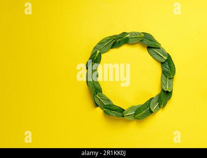 Yellow circle frame on flat lay green mint leaves texture top view background. Creative layout in nature concept. Copy space Stock Photo