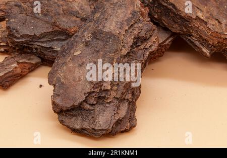 Brown pine bark on a peach table. Texture in macro photography. Photo in high quality Stock Photo