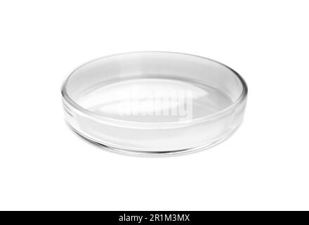 Empty glass Petri dish isolated on white Stock Photo