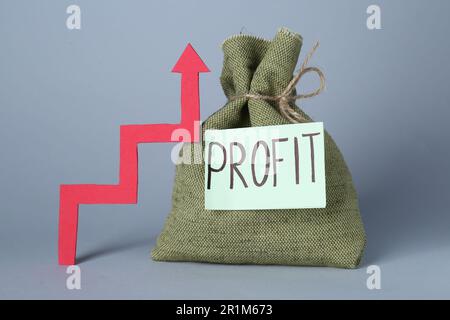 Economic profit. Money bag and arrow on light grey background Stock Photo
