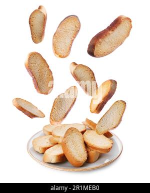 Hard chuck crackers falling into plate on white background Stock Photo