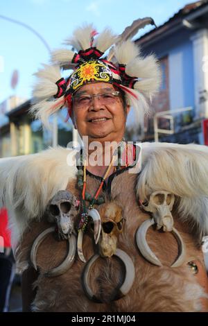 An Orang Ulu headman in full regalia, Kuching, Sarawak, Malaysia, Borneo. Stock Photo