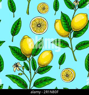 Lemon seamless pattern. Colorful hand drawn vector illustration in sketch style. Tropical exotic citrus fruit summer background Stock Vector