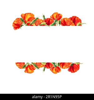 watercolor horizontal frame with poppies, hand drawn red field flowers ...