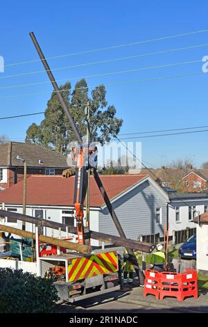 Electrical engineering contractors install new timber pole to carry replacement overhead electricity cables to houses in residential road England UK Stock Photo