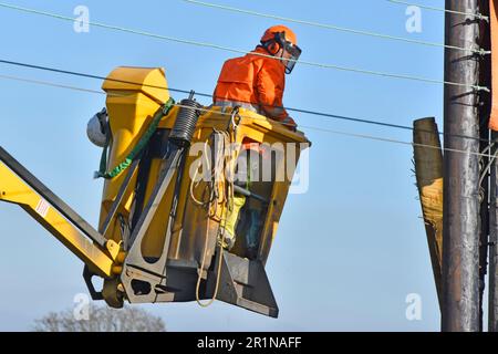 Electrician engineer in his workplace in a cherry picker hoist lift replacing all poles & overhead electricity cables in residential street England UK Stock Photo