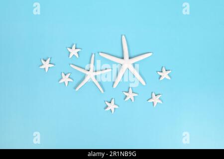 Different sized starfish on blue background. Stock Photo