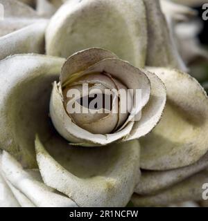 A faded artificial flower on a grave. Stock Photo