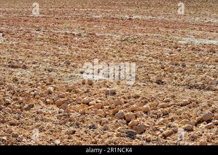 Close-up of a tilled field in Spain. Stock Photo