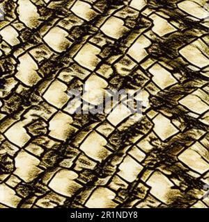 Watercolor painting. Snake skin texture background Stock Photo