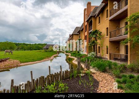 Safari views at PAL Savana RESERVE, a safari-like hotel at Le Pal theme park in France. Stock Photo