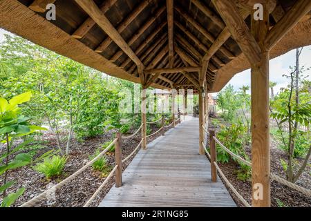 Safari views at PAL Savana RESERVE, a safari-like hotel at Le Pal theme park in France. Stock Photo