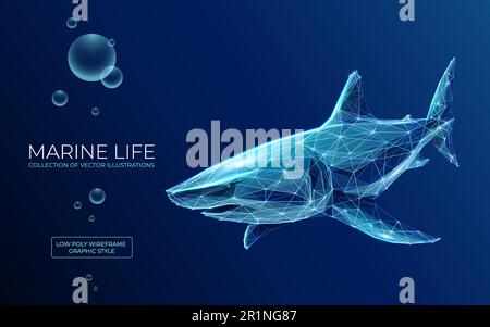 The great white shark. Marine life. Stock Vector