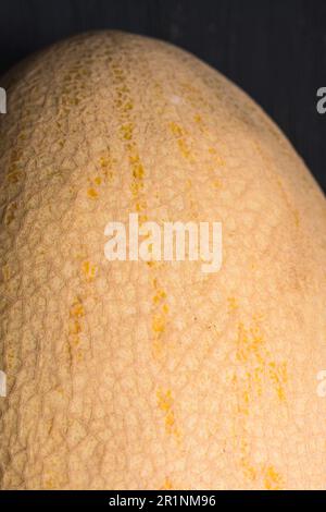 Close up of a fresh yellow melon, detailed texture Stock Photo