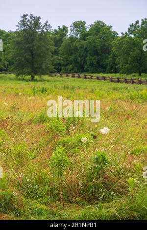 Wilson's Creek National Battlefield in Springfield, Missouri Stock ...