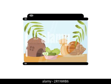 Vector cute pet smiling snail in an aquarium with a coconut shell house and a bowl of cucumbers and lettuce. Giant African land snail, Achatina fulica Stock Vector