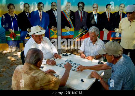 Retired local men playing dominoes in Little Havana Miami Stock Photo