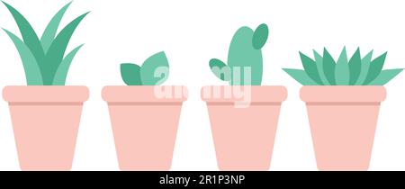 Various house plants in the pots. Green house flowers isolated on white background. Vector illustration in flat style Stock Vector