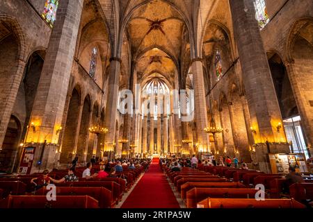 Interior view of Barcelona Cathedral, La Catedral, Catedral de la Santa Creu i Santa Eulalia, Barcelona, Catalonia, Spain Stock Photo