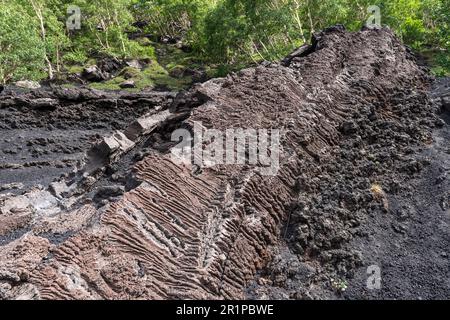 Above the Grotta di Serracozzo on Mount Etna, Sicily, a lava cave or tube formed during the eruption of 1971. Picture shows the roof of the lava tube Stock Photo