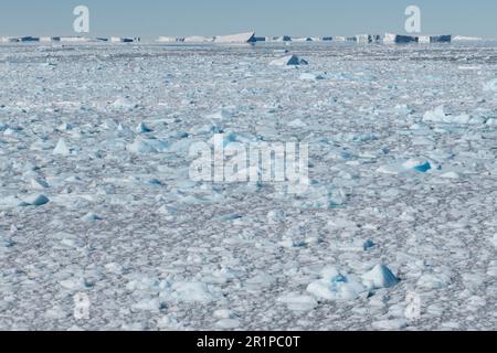 Antarctica, Bellingshausen Sea, Carroll Inlet, near Sims Island. 73 degrees south. Brash ice. Stock Photo