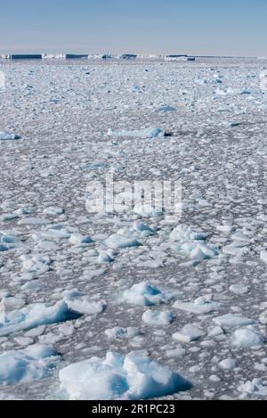 Antarctica, Bellingshausen Sea, Carroll Inlet, near Sims Island. 73 degrees south. Brash ice. Stock Photo