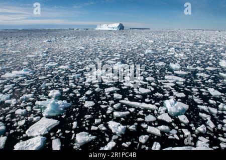 Antarctica, Bellingshausen Sea, Carroll Inlet, near Sims Island. 73 degrees south. Bergy bits of ice floating with icebergs in distance. Stock Photo