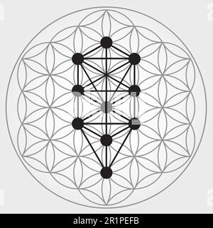 Flower of Life Symbol in Black and White, Cosmic Universe Energy Wheel, Tree of Sephiroth, Kabbalah Stock Vector