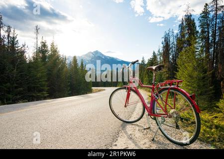 Biking in nature. Scenic bicycle trip along the alpine route. Maligne Lake Road. Jasper National Park, Alberta, Canada. Stock Photo
