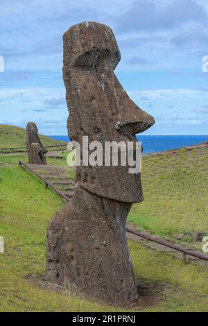 Chile, Easter Island aka Rapa Nui. Typical stone moai head, Rano a Raraku aka The Quarry. UNESCO World Heritage Site. Stock Photo