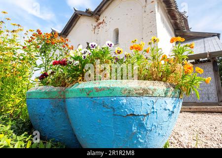 Decorative pansy flowers in stone vases against the background of an old church Stock Photo
