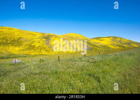 Views of the Temblor Range part of the California Coast Ranges in San Luis Obispo and Kern counties. Photographed in springtime. Stock Photo