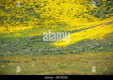 Views of the Temblor Range part of the California Coast Ranges in San Luis Obispo and Kern counties. Photographed in springtime. Stock Photo