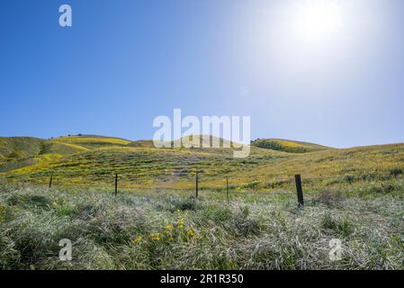 Views of the Temblor Range part of the California Coast Ranges in San Luis Obispo and Kern counties. Photographed in springtime. Stock Photo