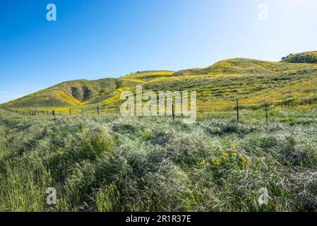 Views of the Temblor Range part of the California Coast Ranges in San Luis Obispo and Kern counties. Photographed in springtime. Stock Photo