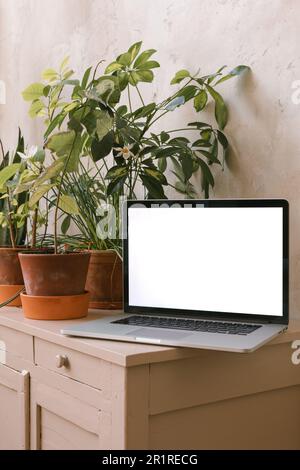Close-up of an open laptop computer with blank screen on a sideboard with assorted houseplants Stock Photo
