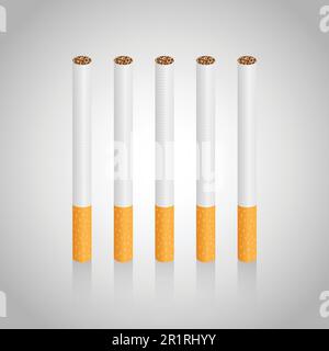 Cigarettes on a gray background.  Realistic cigarettes with slight shadow in vector illustration. Stock Vector