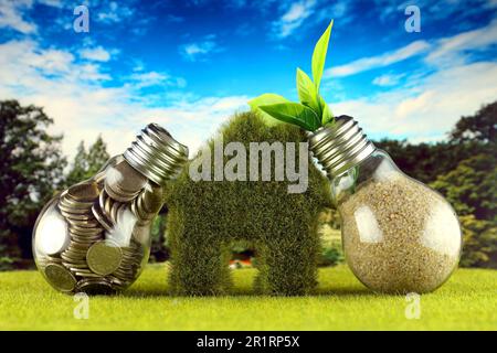 Coins inside the light bulb, plant growing inside the light bulb and miniature house with grass. Green eco renewable energy concept. Electricity price Stock Photo