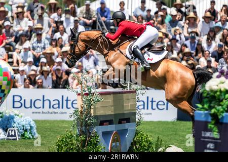 Team Canada rider Jacqueline Steffens-Daly competes at the 2023 FEI Nations Cup in San Juan Capistrano, USA on May 14, 2023. Stock Photo