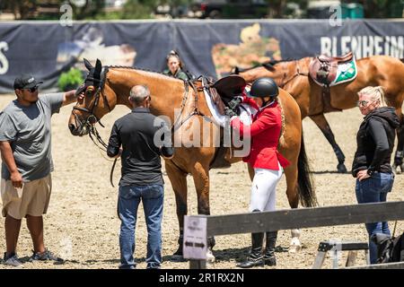 Team Canada rider Jacqueline Steffens-Daly competes at the 2023 FEI Nations Cup in San Juan Capistrano, USA on May 14, 2023. Stock Photo