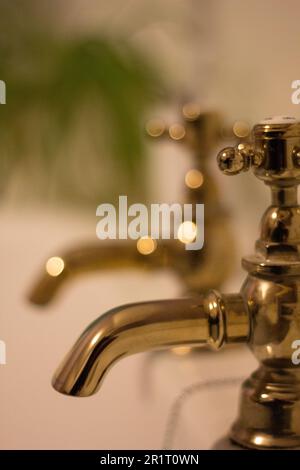 A set of traditional brass taps with a plant in the background Stock Photo