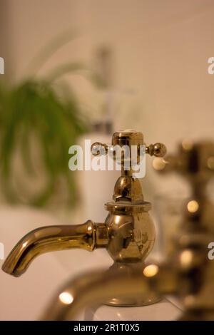 A set of traditional brass taps with a plant in the background Stock Photo