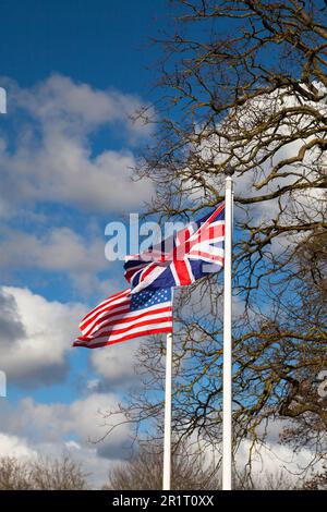 Two UK and US flags flying against a sky near a tree Stock Photo