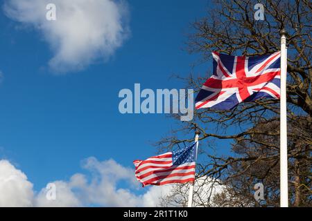 Two UK and US flags flying against a sky near a tree Stock Photo