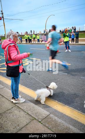 Women in pink with pet poodle watching Blackpool 10 K run along the seafront Stock Photo